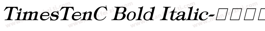 TimesTenC Bold Italic字体转换